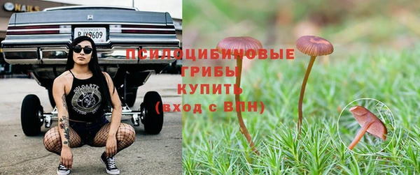 таблы Алексеевка